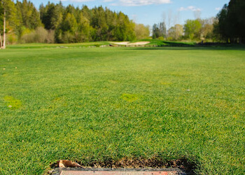 Belleville golf course Black Bear Ridge Golf & Resort