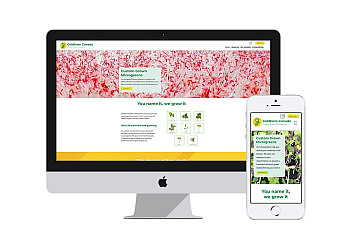 Guelph web designer Black Bike Media Inc