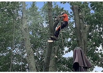 Brantford Services d'arboriculteur Black Creek Tree Service