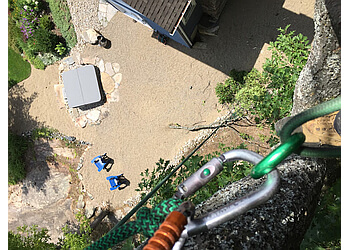 Norfolk tree service Black Creek Tree Service