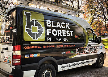 Black Forest Plumbing Inc.