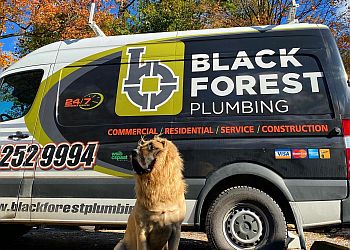 Black Forest Plumbing Inc. 