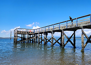 Blackie Spit Park - Surrey, BC Public Parks - Visitor Experience Image