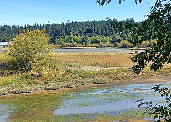 Blackie Spit Park - Surrey, BC Public Parks - Scenic View Image