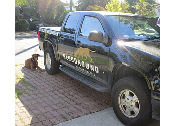 Victoria home inspector Bloodhound Home Inspectors