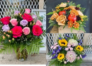 Lethbridge florist Blooms Flowers & Gifts