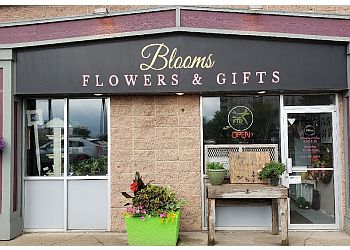 Blooms Flowers & Gifts