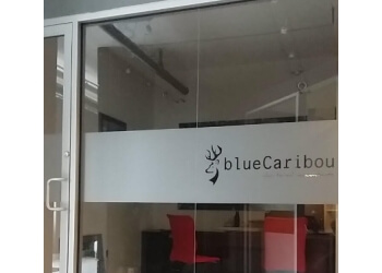 London  BlueCaribou Chartered Accountants
