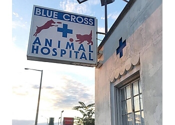 Animal Hospital