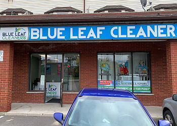 Blue Leaf Cleaners 