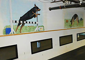 Saint Hyacinthe Dresseurs De Chiens Blue Ribbon Canine Centre