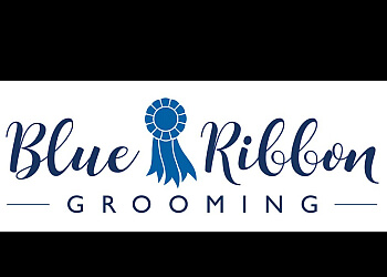Sault Ste Marie pet grooming Blue Ribbon Grooming
