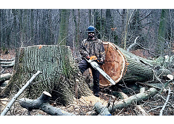 Sarnia tree service Bluewater Tree Service