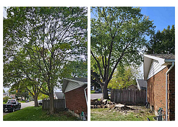 Sarnia tree service Bluewater Tree Service