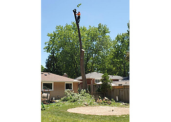 Bluewater Tree Service