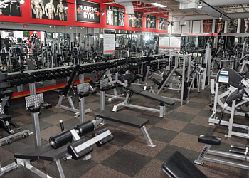 Hamilton Gymnases Body Pro Gym Hamilton