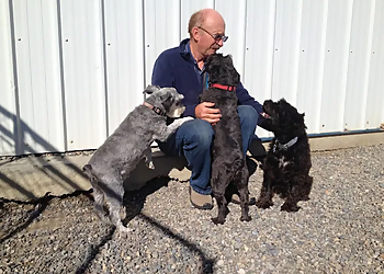 Bogdan's Dog Training Center And Boarding Kennel Ltd. - Lethbridge, AB Dresseurs De Chiens - Dog Trainer Image