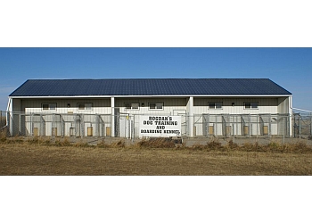 Bogdan's Dog Training Center and Boarding Kennel