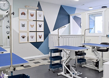 Toronto pet grooming BooBoo Pet Grooming Services