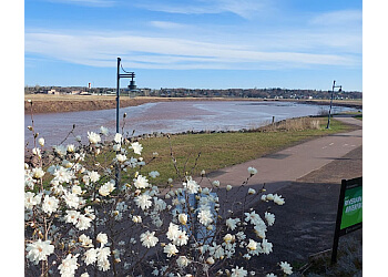 Moncton hiking trail Bore Park
