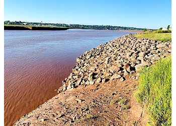 Moncton hiking trail Bore Park