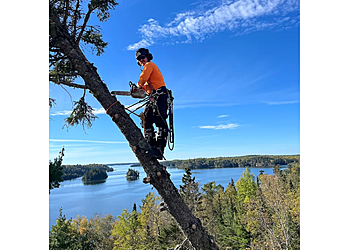 Thunder Bay Services d'arboriculteur Boreal Tree Service