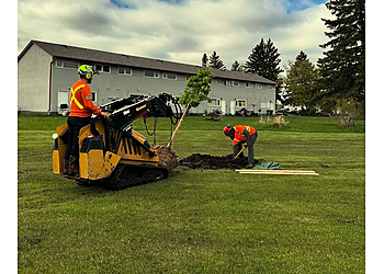 Thunder Bay Services d'arboriculteur Boreal Tree Service