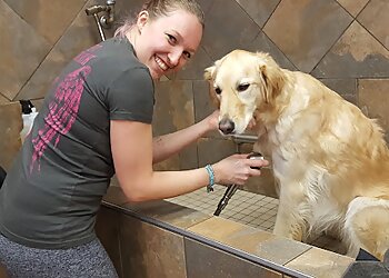 Prince George pet grooming Bosley's Prince George