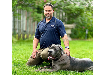 Boss Co Dog Training and Rehabilitation