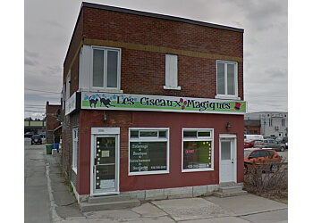 Saguenay pet grooming  Boutique de Toilettage Les Ciseaux Magiques