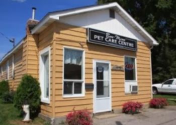 North Bay pet grooming Bow Meow Pet Care Centre