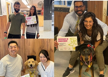 North Vancouver Dresseurs De Chiens Bow Wow Academy