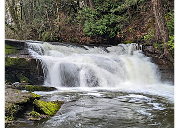 Nanaimo public park Bowen Park