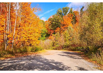 Vaughan hiking trail Boyd Conservation Park