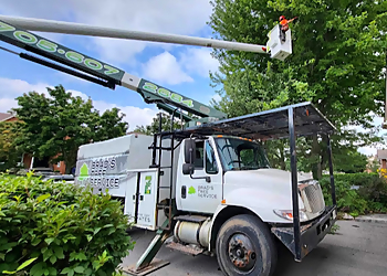 Brad's Tree Service - Barrie, ON Tree Services - Service Vehicle Image