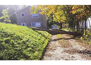 Barrie tree service Brad's Tree Service Ltd.