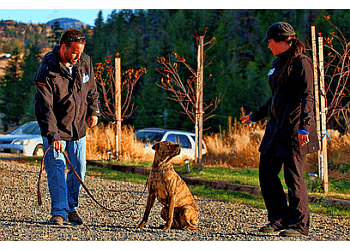 Kamloops dog trainer Brazilian Dog Guru Facility