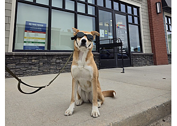 Winnipeg veterinary clinic Bridgwater Veterinary Hospital & Wellness Centre