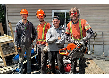 Sudbury Services d'arboriculteur Brisebois Tree Removal