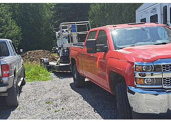 Sudbury Services d'arboriculteur Brisebois Tree Removal