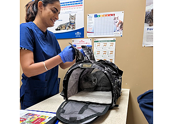 Mississauga veterinary clinic Bristol Veterinary Hospital