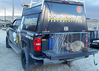 Kamloops pest control Broad Spectrum Pest Solutions, Ltd.