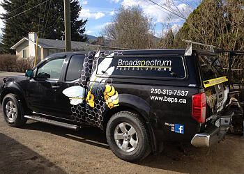 Kamloops pest control Broad Spectrum Pest Solutions, Ltd. image 1