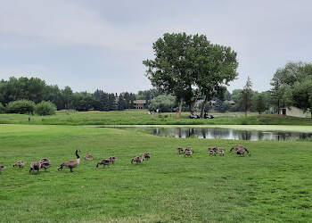 Sherwood Park Terrains de golf Broadmoor Public Golf Course