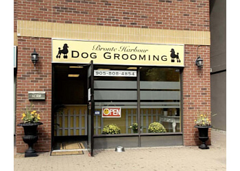 Oakville pet grooming Bronte Harbour Dog Grooming