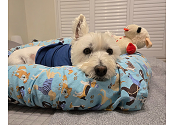 Whitby veterinary clinic Brooklin Veterinary Hospital