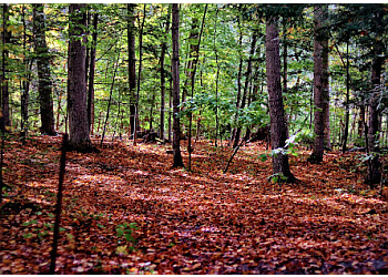 Stouffville hiking trail Bruce's Mill Conservation Park