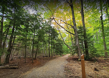 Stouffville hiking trail Bruce's Mill Conservation Park