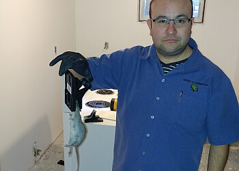 Longueuil Services d'extermination de parasites Budget Extermination