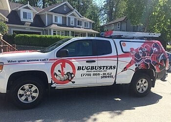 3 Best Pest Control in Maple Ridge, BC - Expert ...